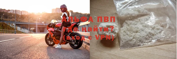 прущие грибы Кулебаки