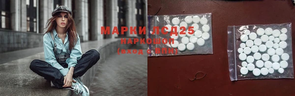 прущие грибы Кулебаки