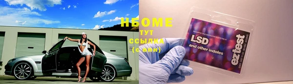 гидра Пикалёво