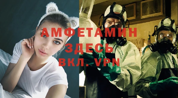 шишки Кукмор