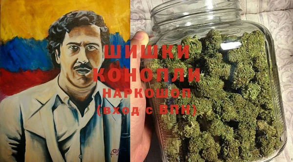 соль ск Лиски