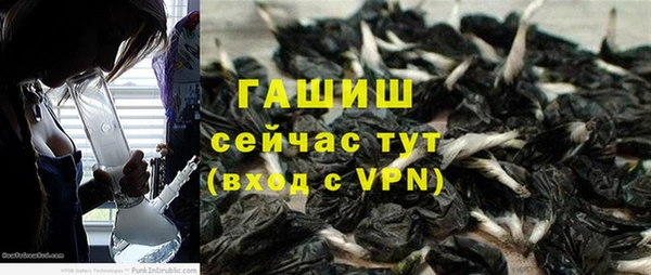 шишки Кукмор