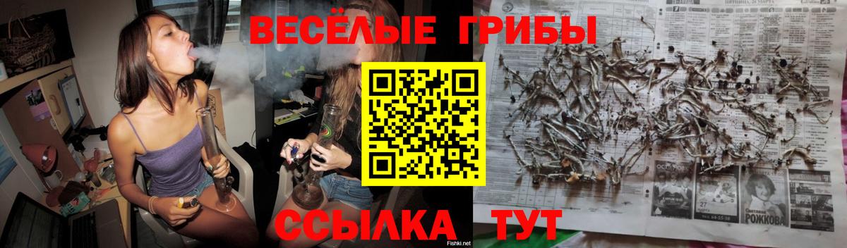 Галлюциногенные грибы прущие грибы  Вход с VPN  Галлюциногенные грибы мицелий  Мелеуз 